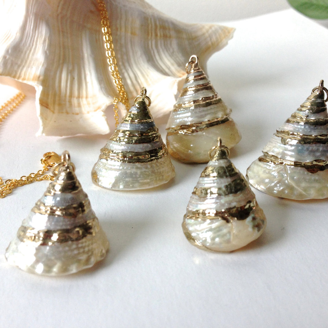 Troca Shell Necklaces