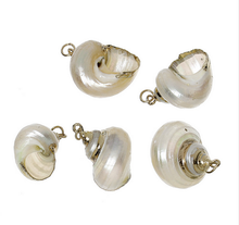 Load image into Gallery viewer, Snail Shell Necklaces