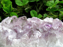 Load image into Gallery viewer, Amethyst Cluster