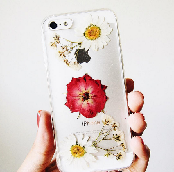 Lovely Daisies Real Flower Case (iPhone 6/6s)