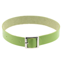 Load image into Gallery viewer, Green Buckle Choker