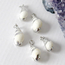 Load image into Gallery viewer, Tiny Conch Shell Necklaces